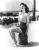 Ava Gardner