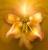 Andre Ferrella: horoscope, chart, and planetary dominants