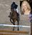 Malin Baryard-Johnsson: horoscope, chart, and planetary dominants
