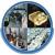 Robert Hunter: horoscope, chart, and planetary dominants