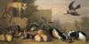 Jakob Bogdani: horoscope, chart, and planetary dominants