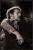 Damien Rice: horoscope, chart, and planetary dominants