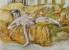 Arlette Ginioux: horoscope, chart, and planetary dominants