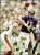 Tony Banks (American football): horoscope, chart, and planetary dominants