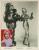 Anne Francis: horoscope, chart, and planetary dominants