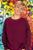 Aaron Carter: horoscope, chart, and planetary dominants