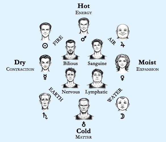 The different human typologies