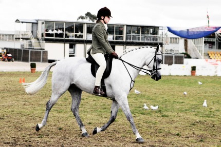 Horse riding, a sport for Leo