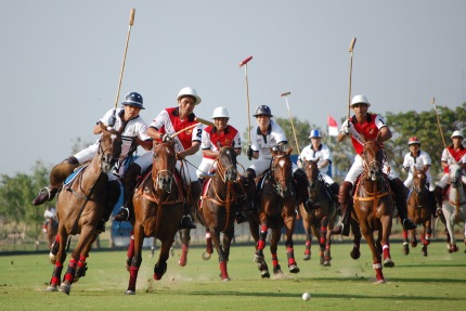 Polo, one of the sports Sagittarius enjoys