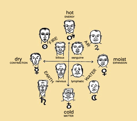 The different human typologies